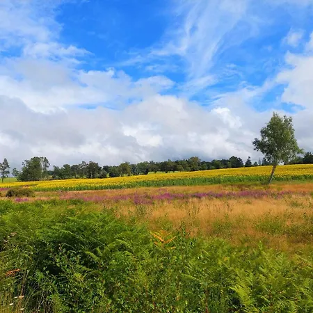 Glamping With Private Bathroom And Spacious Garden, Cleaning Included Luxusní stan *