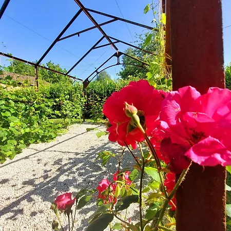 Luxusní stan Glamping With Private Bathroom And Spacious Garden, Cleaning Included *